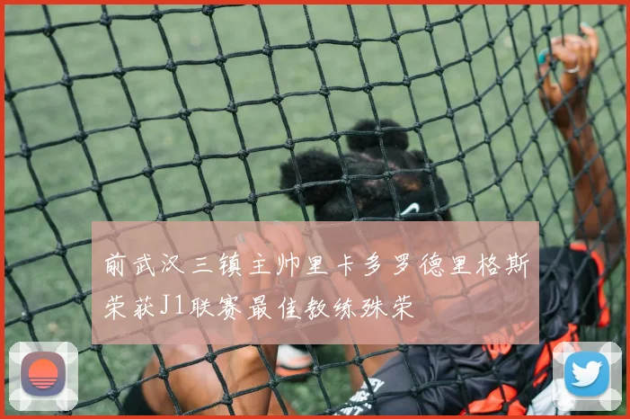 前武汉三镇主帅里卡多罗德里格斯荣获J1联赛最佳教练殊荣